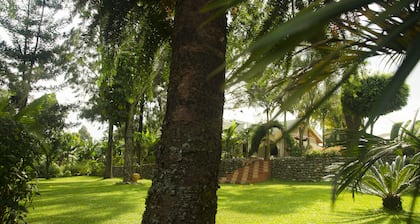 Sheevy's Bed N Breakfast