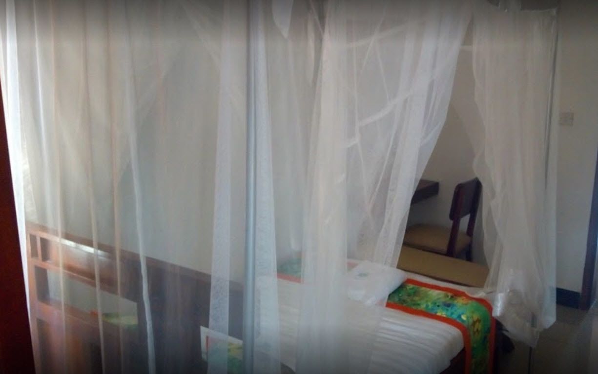 A room with a bed covered by a white canopy, a small table, and a chair.