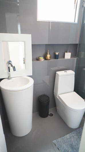 Une salle de bain moderne avec un grand lavabo, des toilettes et une petite poubelle.