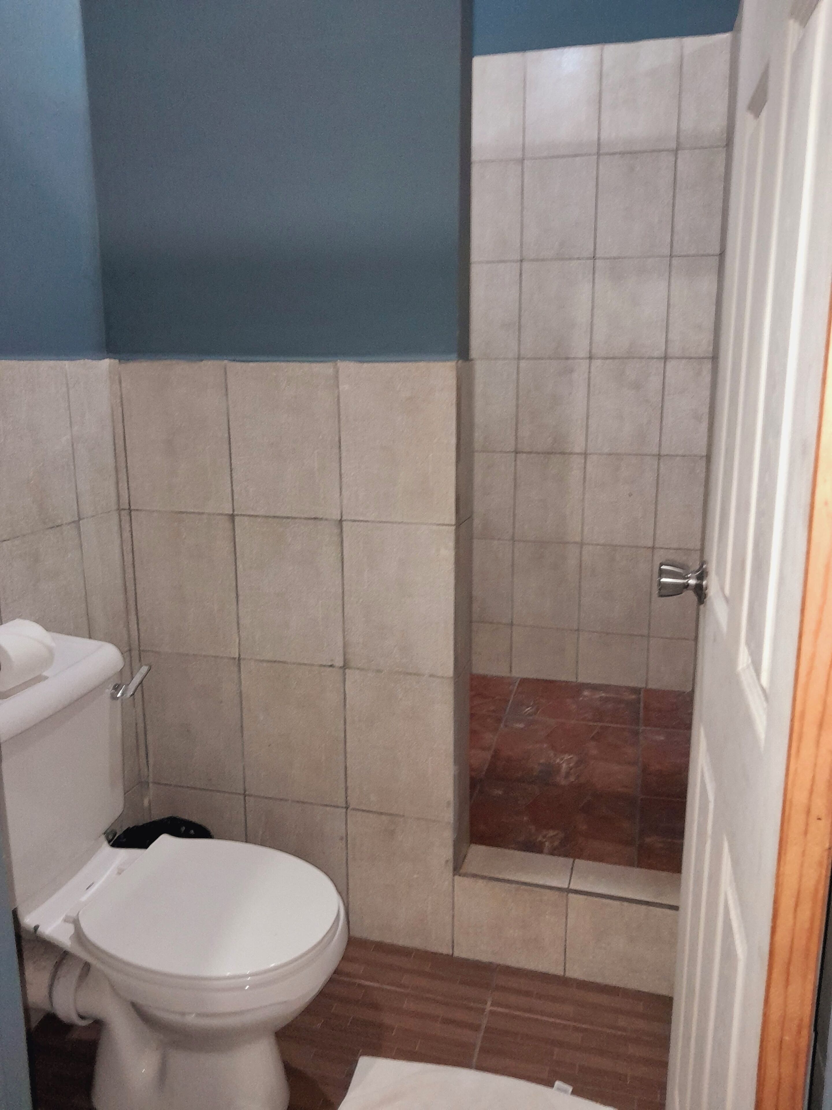 Une salle de bain comprenant des toilettes, un espace douche et une porte.