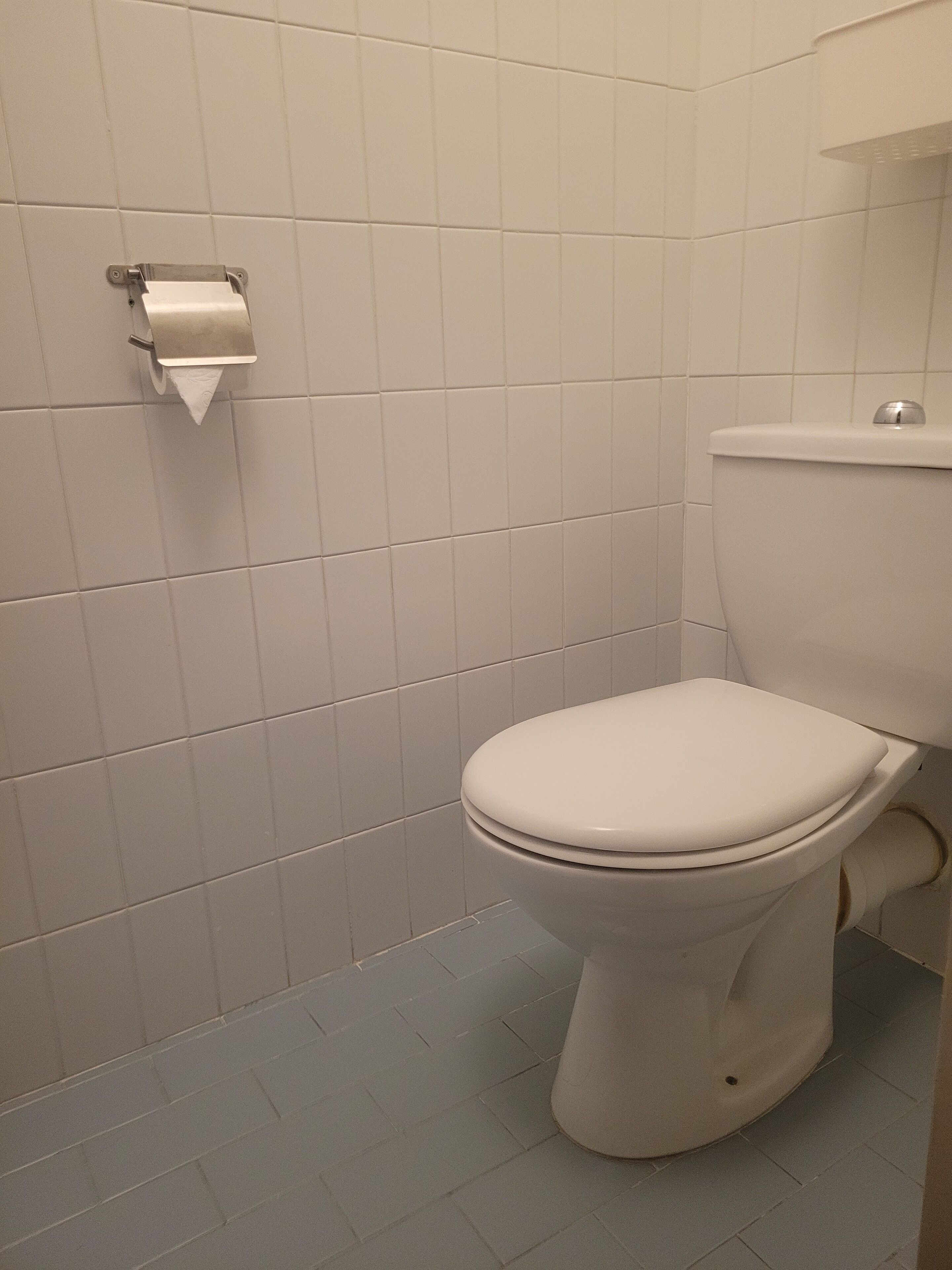 combined shower/bathtub, free toiletries, hair dryer, towels