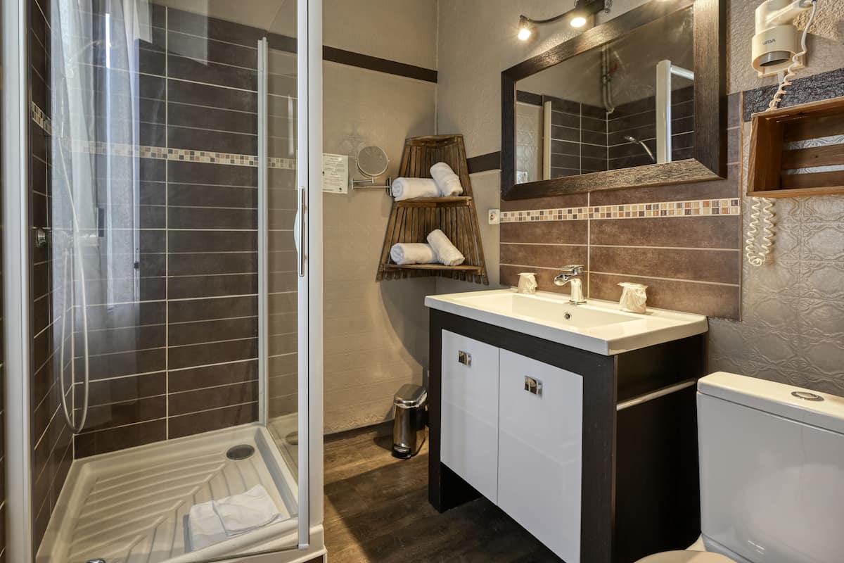 A modern bathroom with a glass shower enclosure, a vanity with a large sink, and a toilet.