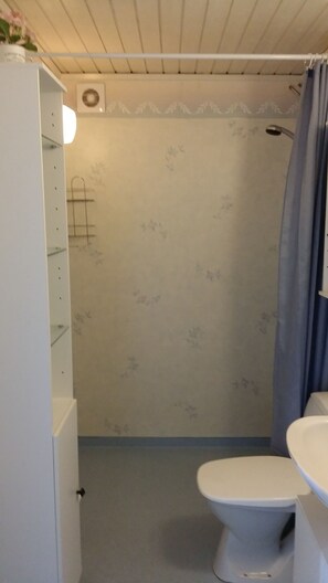 Een badkamer met toilet, douche en wastafel.
