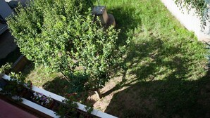 Un jardin sur le toit, avec une variété de plantes et un petit arbre.