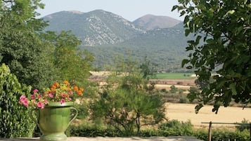 Vista desde la propiedad