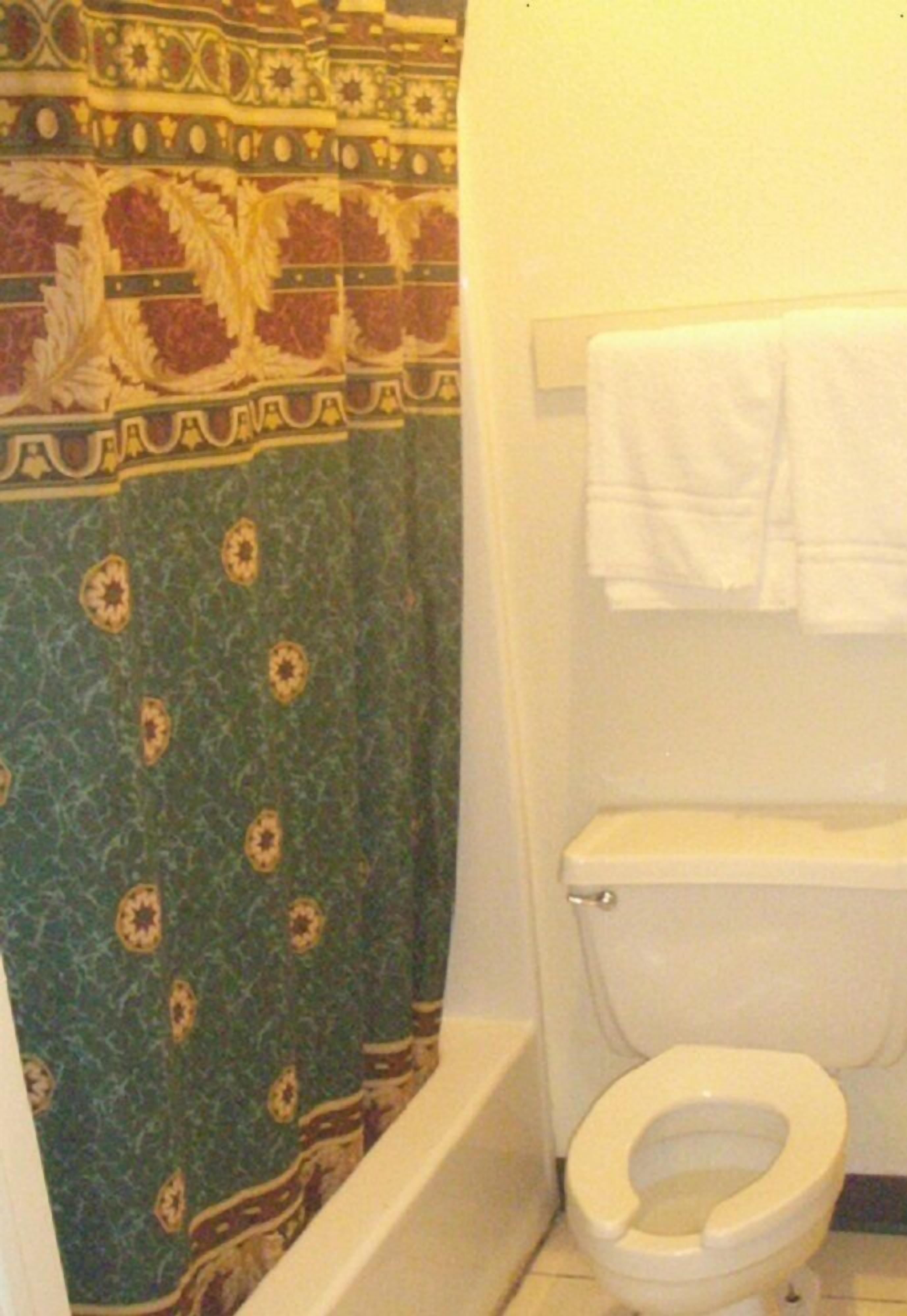 Shower kamar mandi