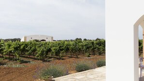 Unclassified image, 4 of 39, button - Tenuta Yala (Parabita)