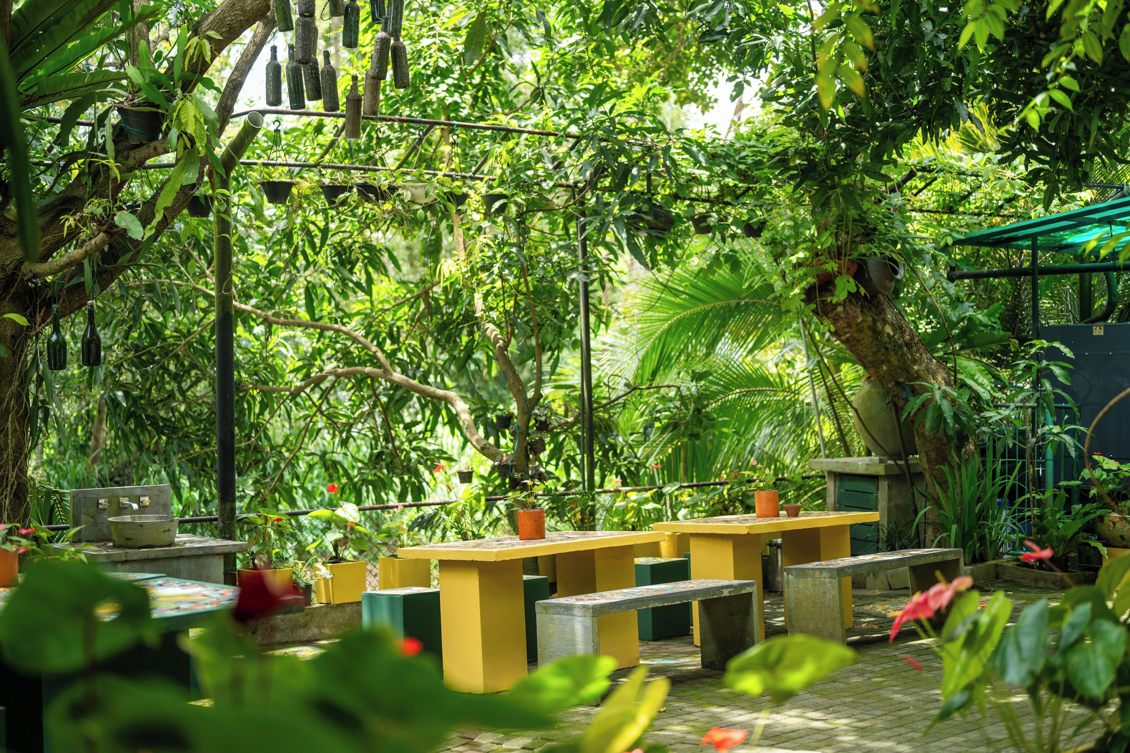 Un espacio al aire libre con mesas y bancos rodeado de abundante vegetación.