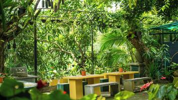 Un espacio al aire libre con mesas y bancos rodeado de abundante vegetación.