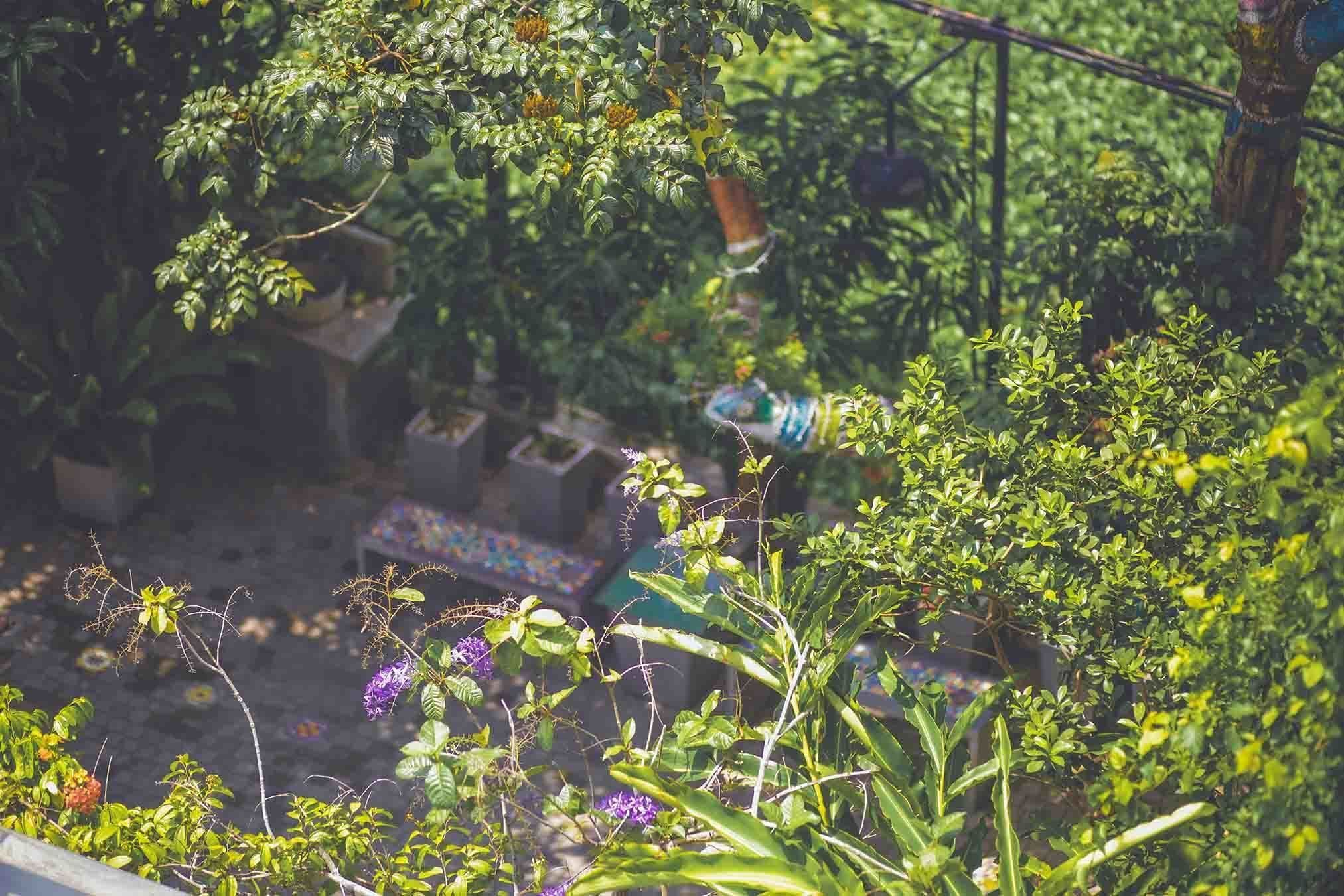 superior room, 1 king bed, garden view | view from room