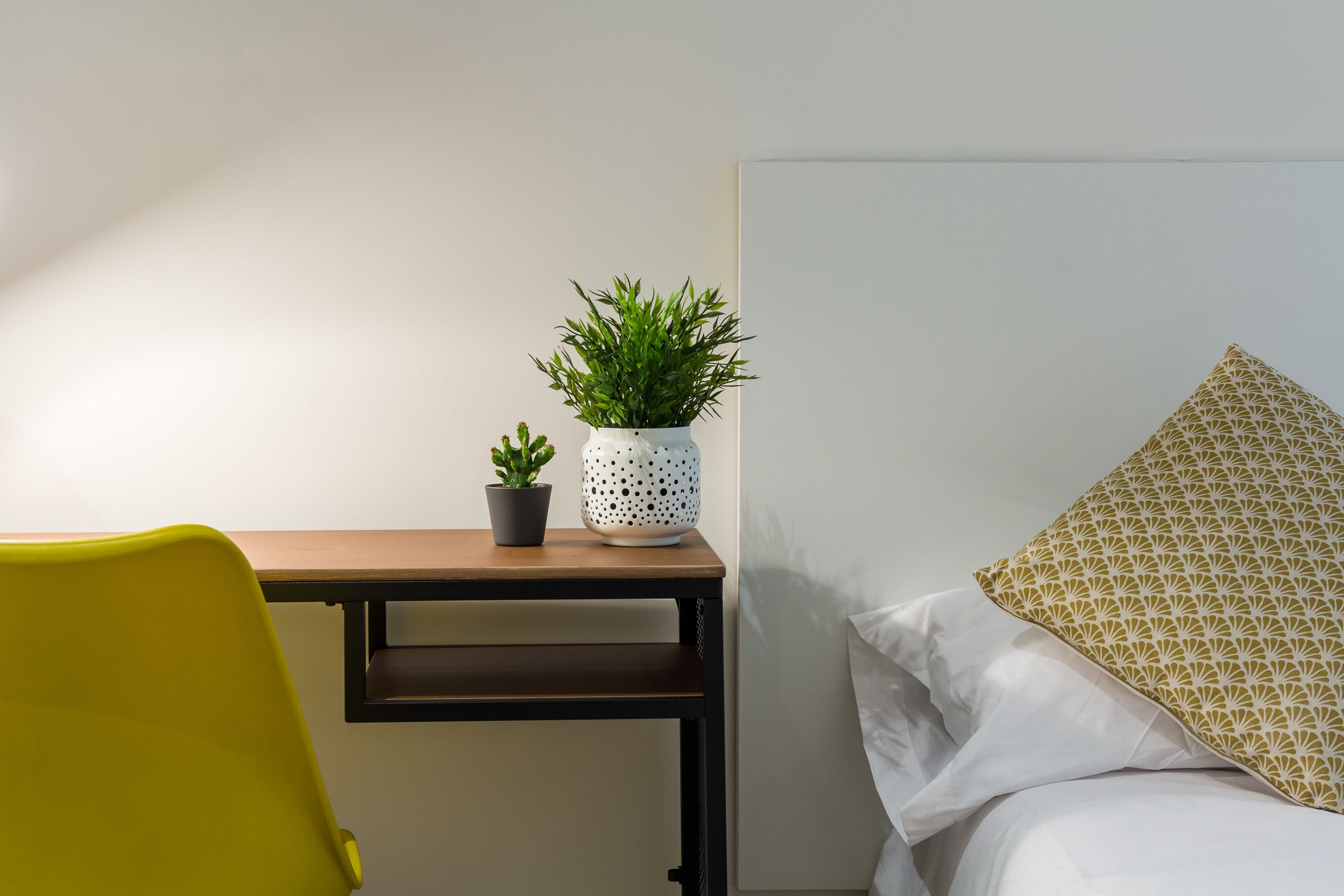Een kamer met een bed, een bureau, een stoel en twee potplanten.
