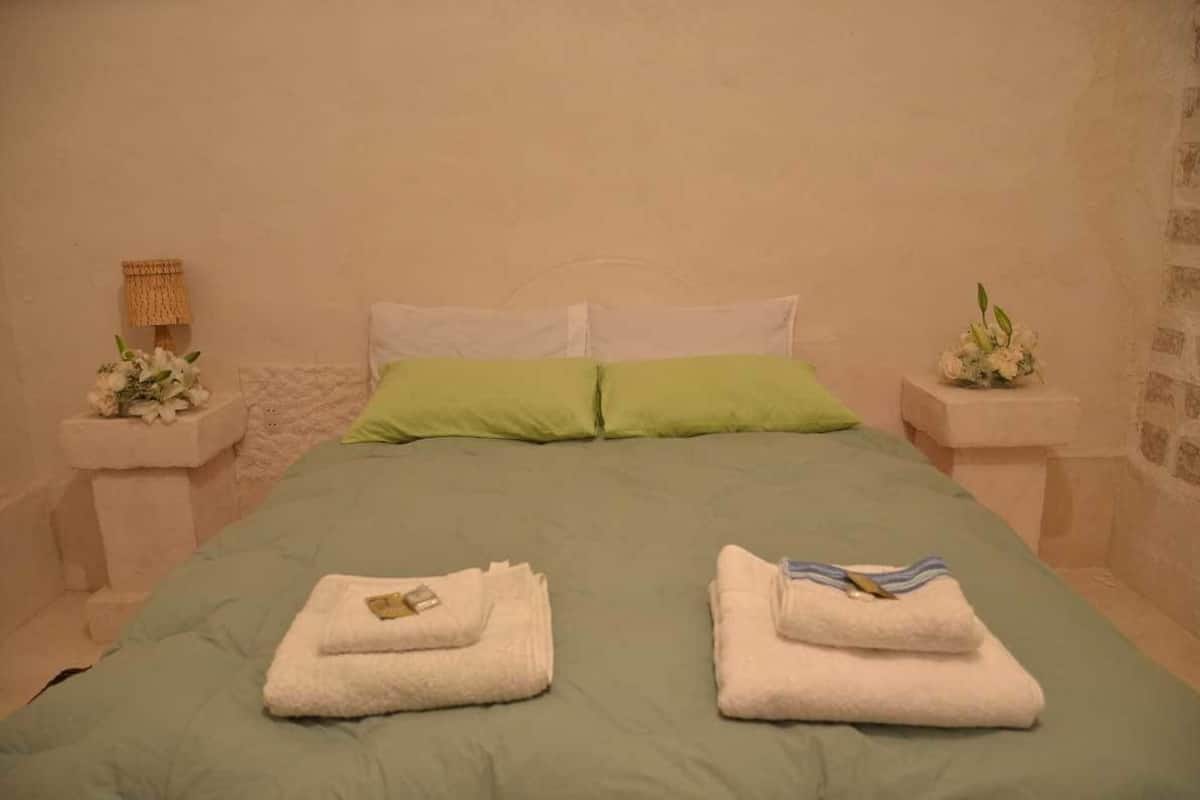 Habitación doble, 1 cama matrimonial, baño privado | Escritorio, tabla de planchar con plancha y cunas gratuitas 