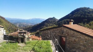 Servicio de la propiedad