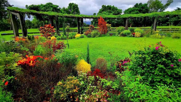 A lush garden with a variety of colorful flowers and plants, a pergola structure, and a well-maintained lawn. - DAN DAN Bed and breakfast (Dongshan)