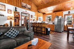 Flat-screen TV, fireplace, DVD player, video library - The Cuddle Inn (Big Bear Lake)