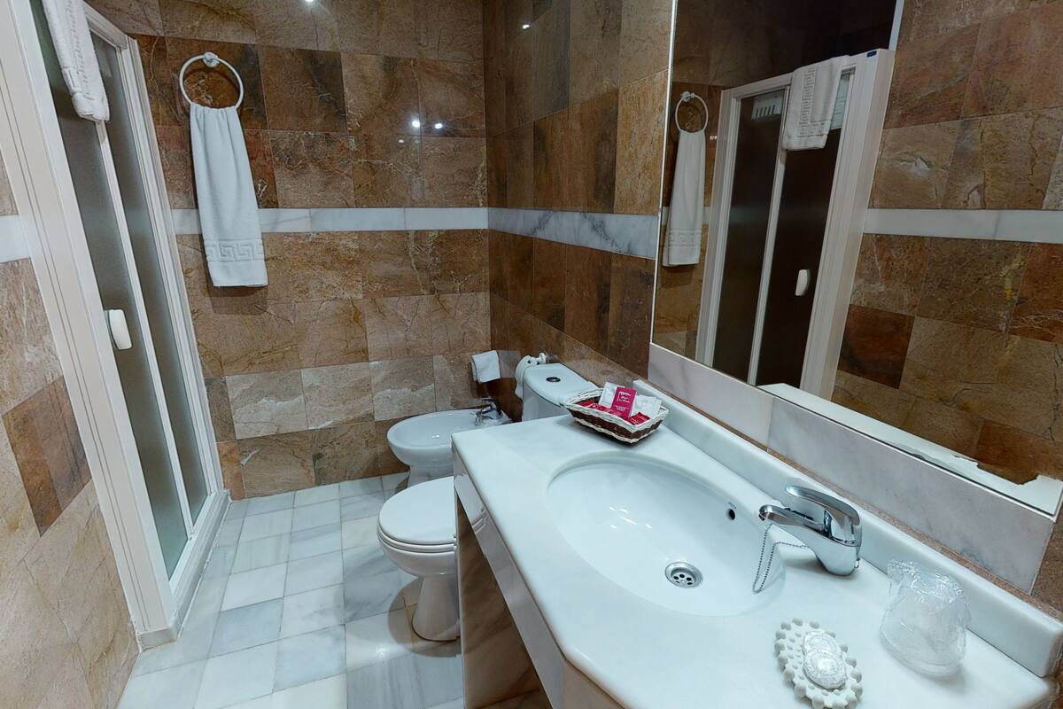 shower, free toiletries, hair dryer, bidet