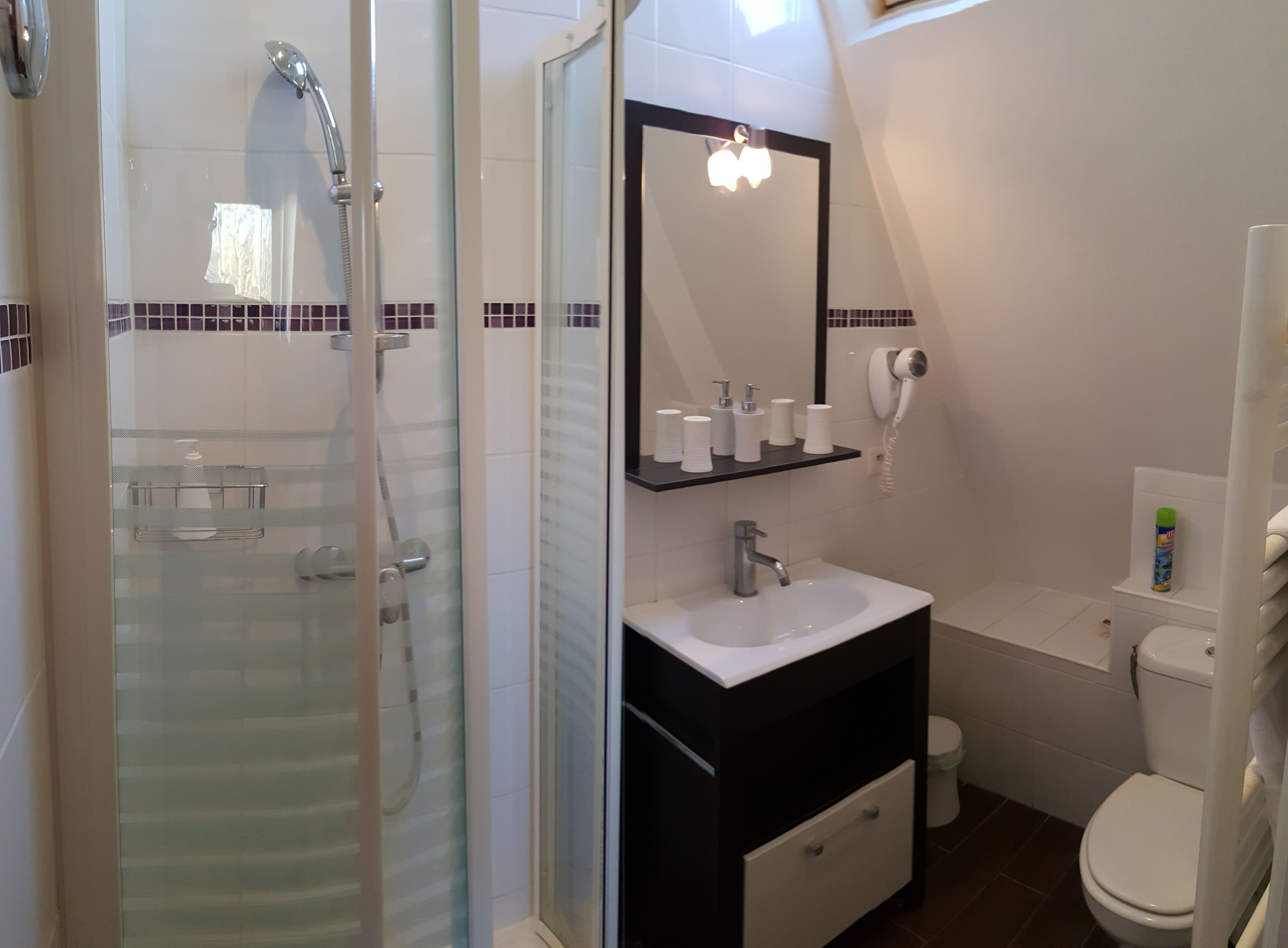 Un bany modern amb dutxa de vidre, un lavabo blanc amb mirall i un vàter.