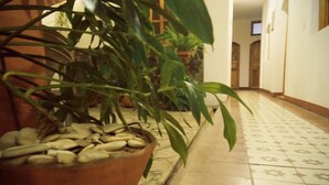 Un pasillo con suelo de baldosas y plantas en macetas.