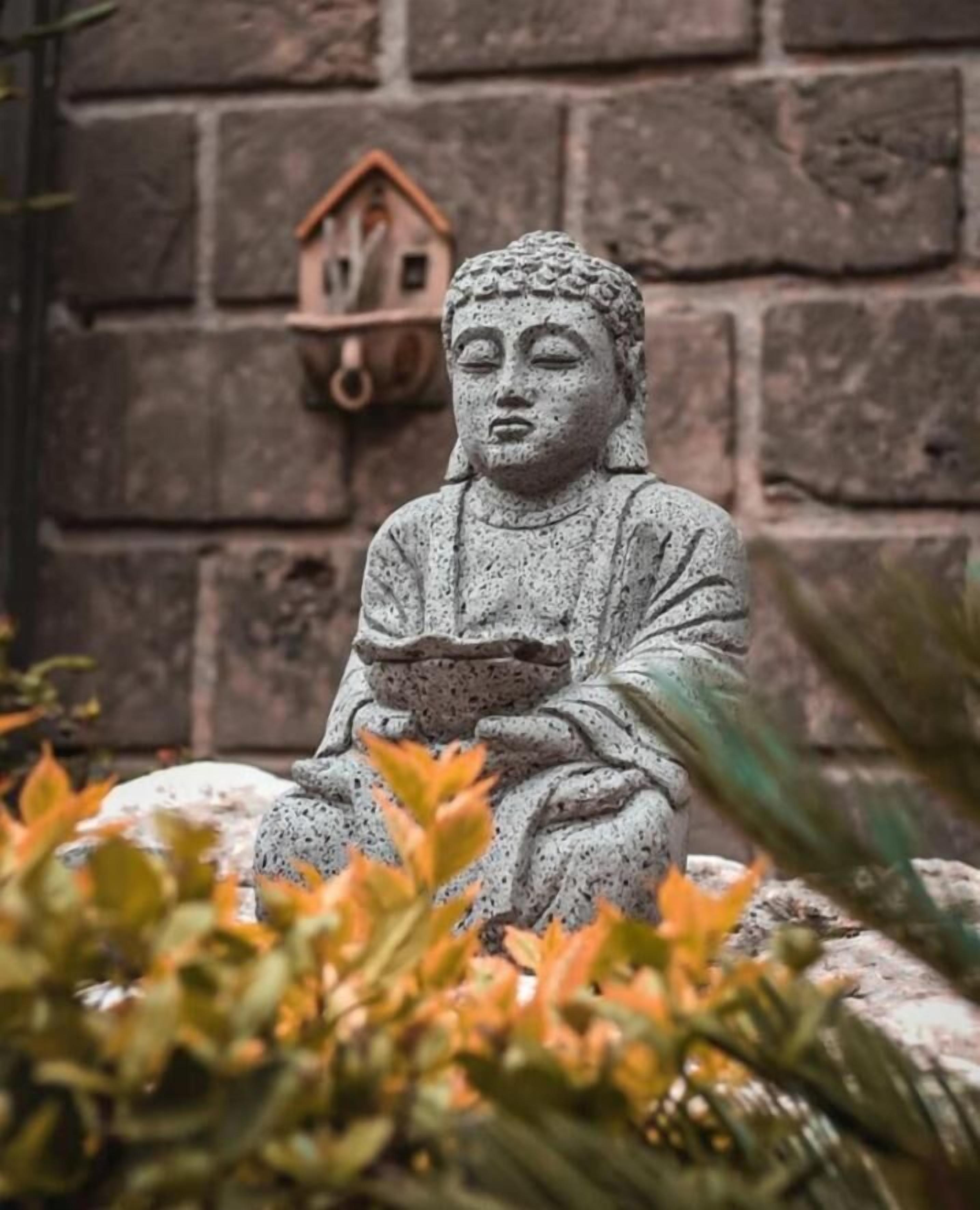 Una estatua de Buda de piedra en un jardín con un muro de ladrillos y un comedero para pájaros al fondo.