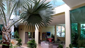 A spacious lobby with a palm tree, seating area, and a TV mounted on the wall. - Star Hotel (Jijoca de Jericoacoara)