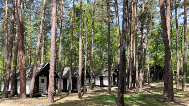 Una hilera de cabañas en un área boscosa, con un sendero pavimentado que las conduce.