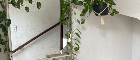 Intérieur de l’entrée