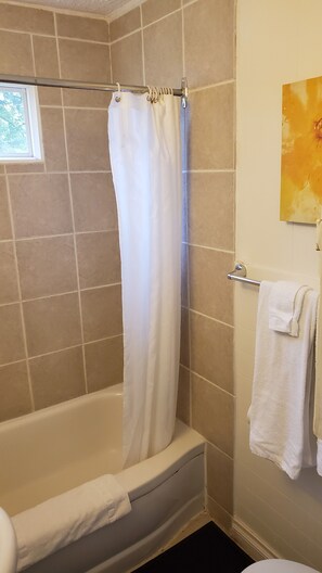 Ensemble douche/baignoire, articles de toilette gratuits, sèche-cheveux