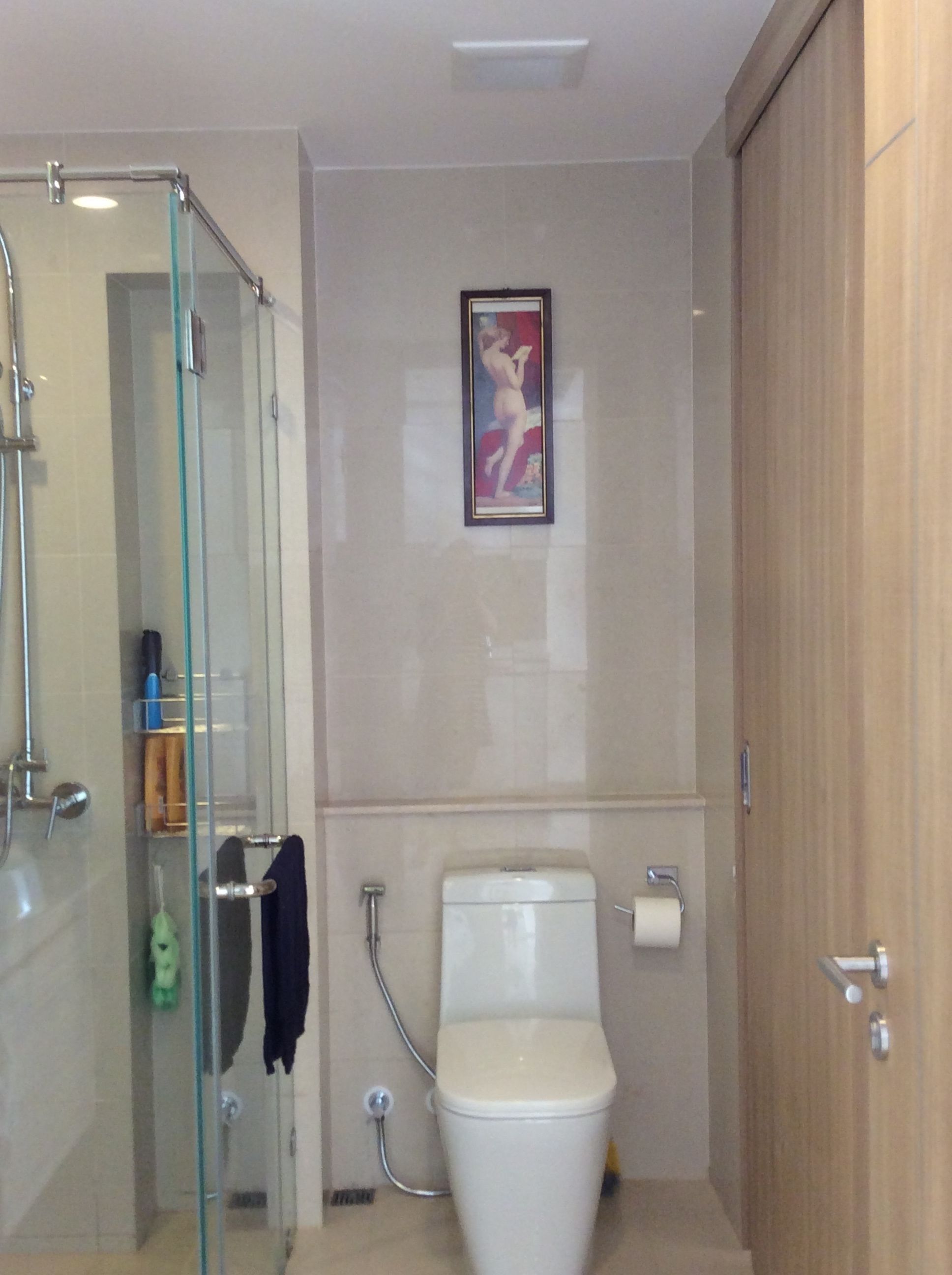 A bathroom with a glass shower enclosure, a toilet, and a framed artwork on the wall.