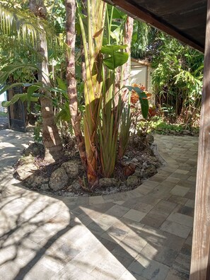 Ein Garten mit befestigtem Weg, umgeben von verschiedenen Pflanzen und Bäumen.