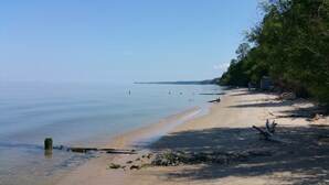 A beach with clear water, a sandy shore, and some vegetation.