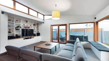 TV, fireplace, books, offices