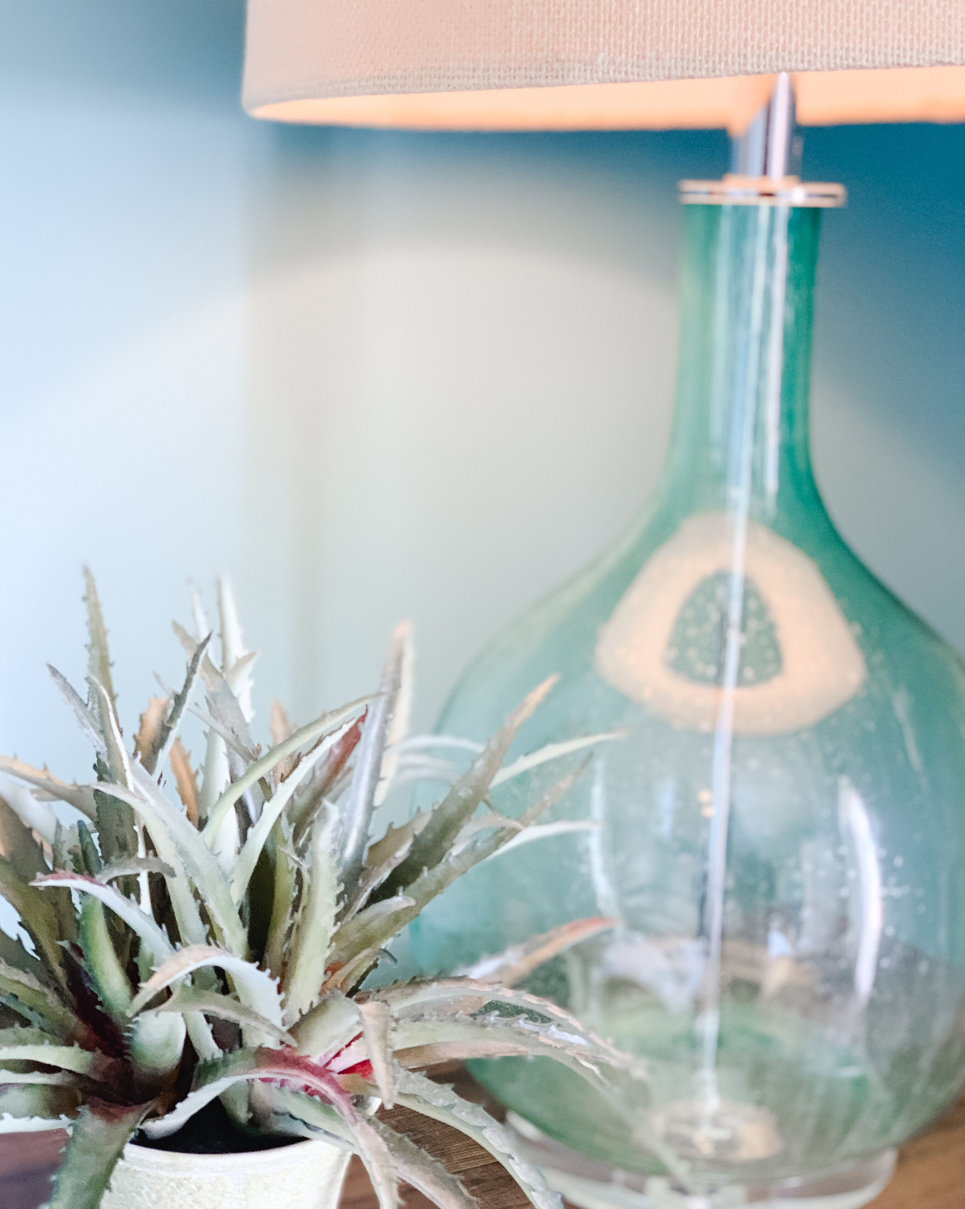 A potted succulent plant and a clear glass vase on a wooden surface.