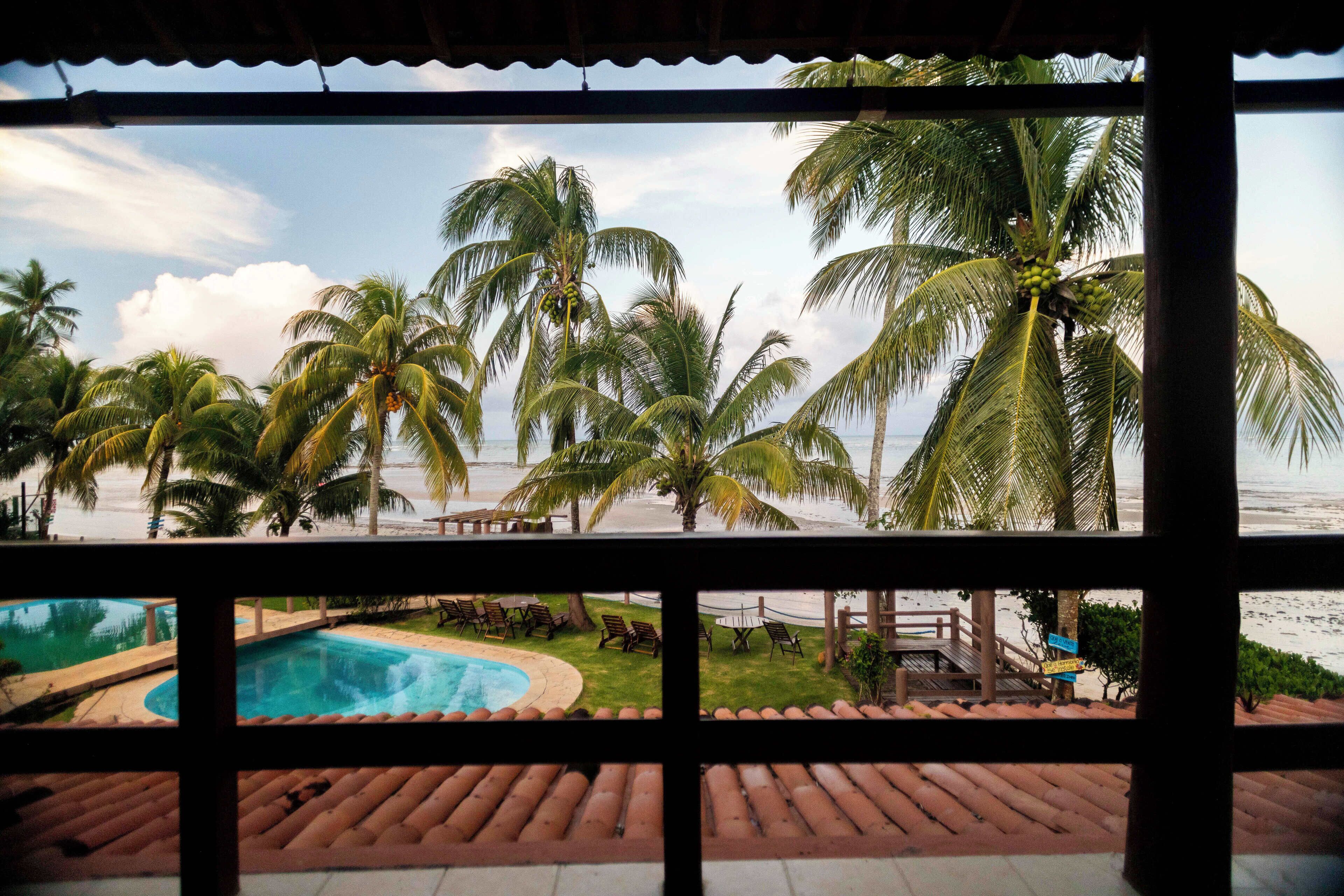 Zona de piscina con vista a la playa y palmeras.