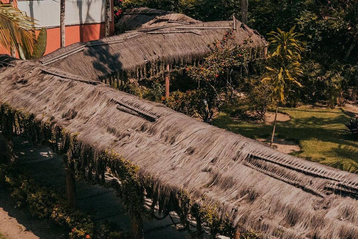 Una estructura de techo de paja con forma larga y estrecha, rodeada de follaje y una palmera.