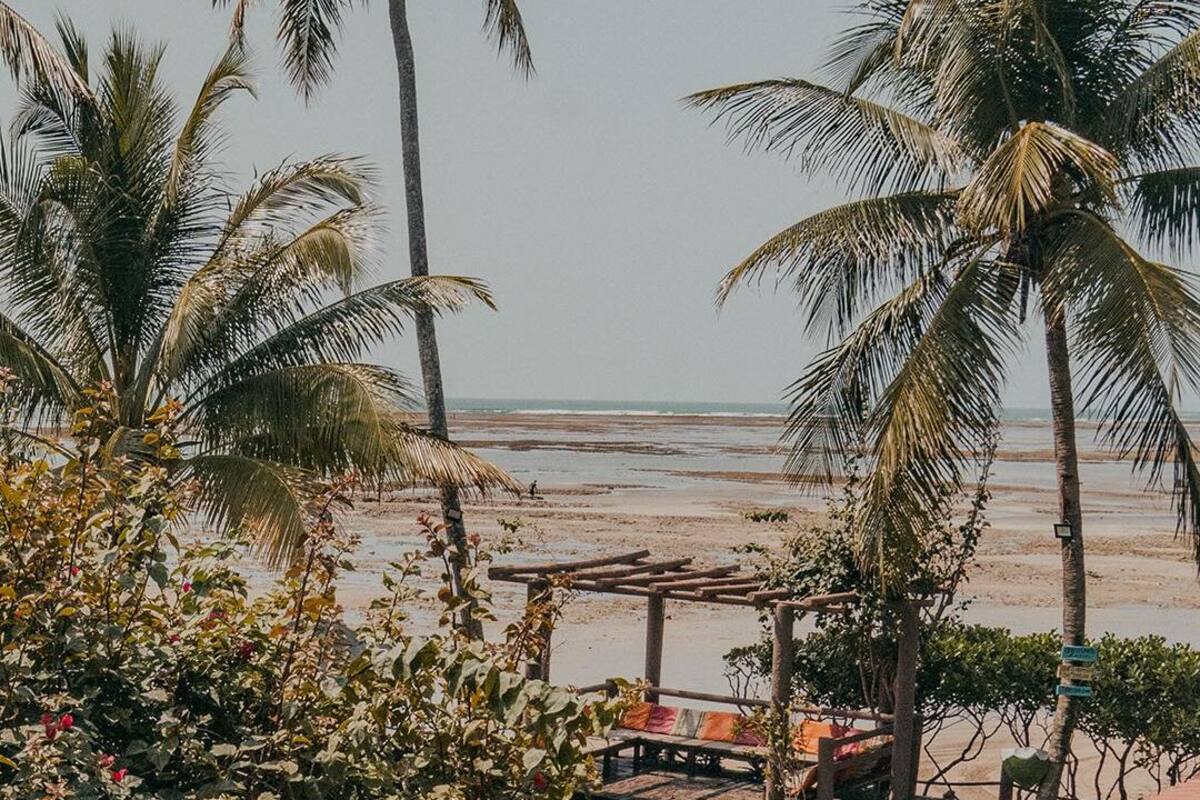 Una playa con palmeras, una pérgola de madera y una orilla arenosa.