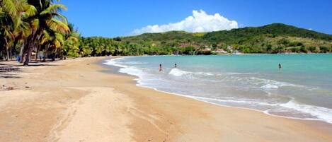 Plage à proximité, chaises longues, serviettes de plage