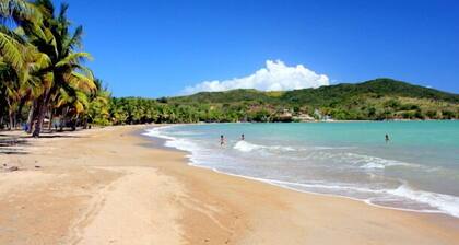 Breathtaking Ocean View Condo w/ 3 bedrooms in Palmas del Mar