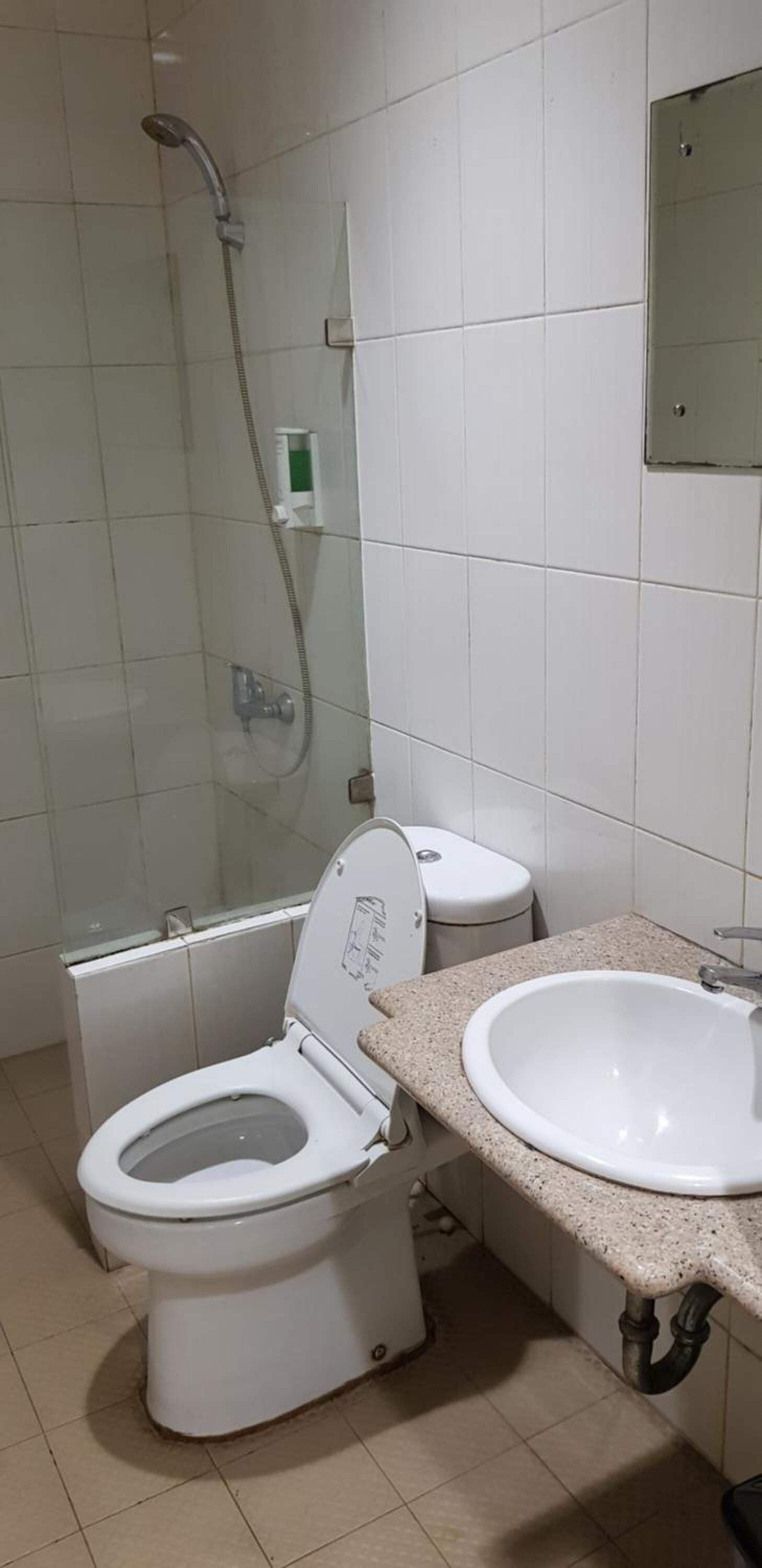 Un baño con inodoro, lavabo y ducha.