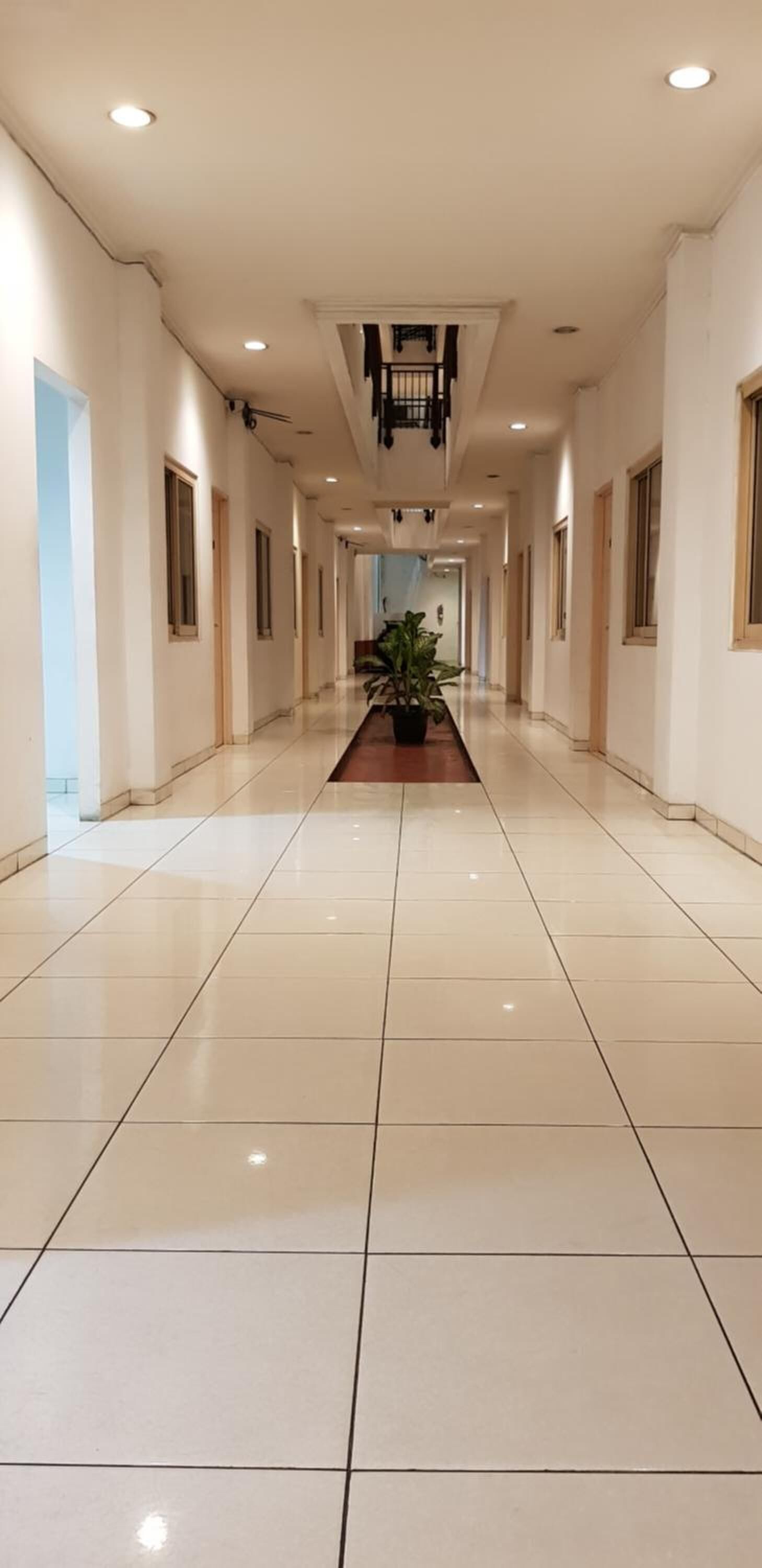 A long, well-lit hallway with a central potted plant, white walls, and doors on either side.