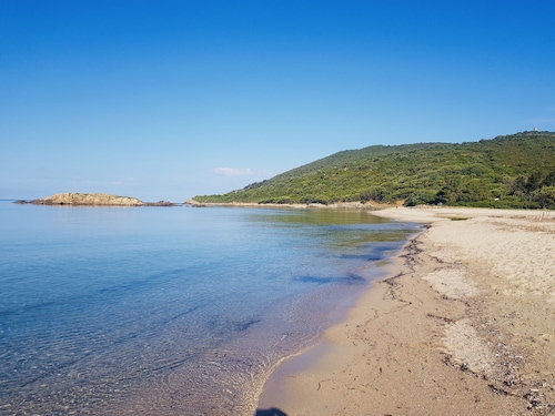 Charming Garden apartment by the sea, 150 meters from the beach.