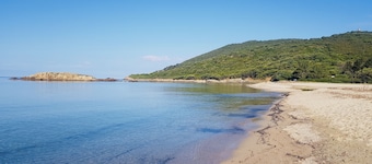 Charming Garden apartment by the sea, 150 meters from the beach.