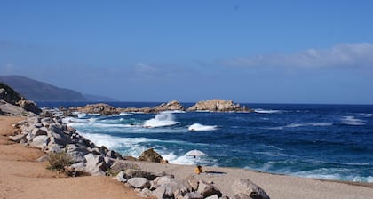 Charming Garden apartment by the sea, 150 meters from the beach.