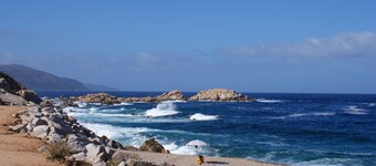 Charming Garden apartment by the sea, 150 meters from the beach.