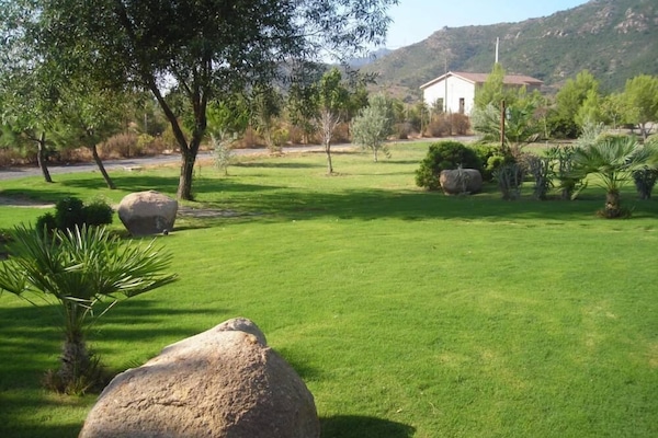 Garden, Park