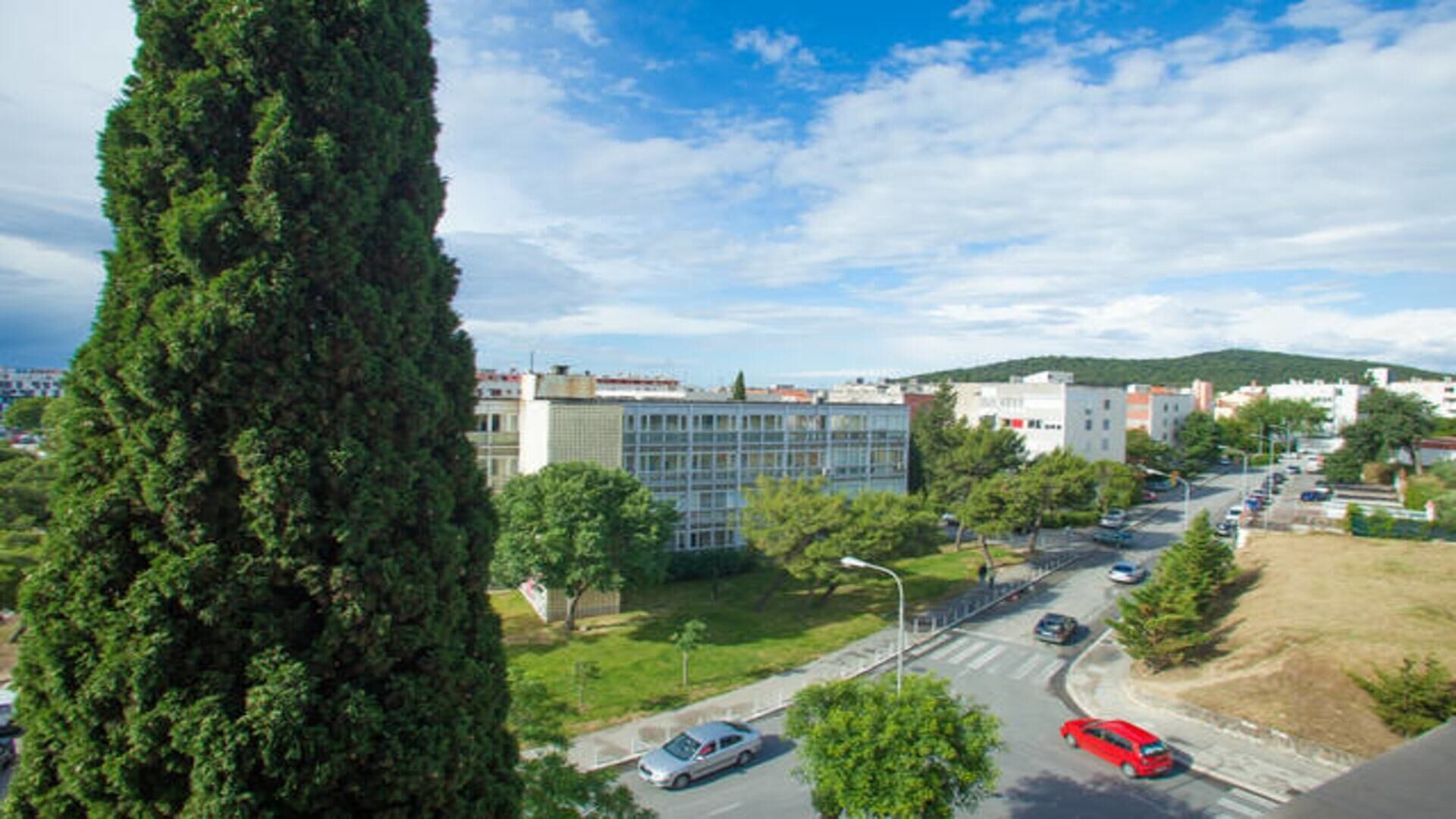 Un paysage urbain avec des bâtiments modernes, un arbre imposant et un ciel dégagé.