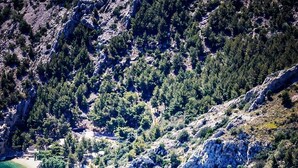 Paisaje costero con un bote en aguas turquesas, acantilados rocosos y vegetación escasa.