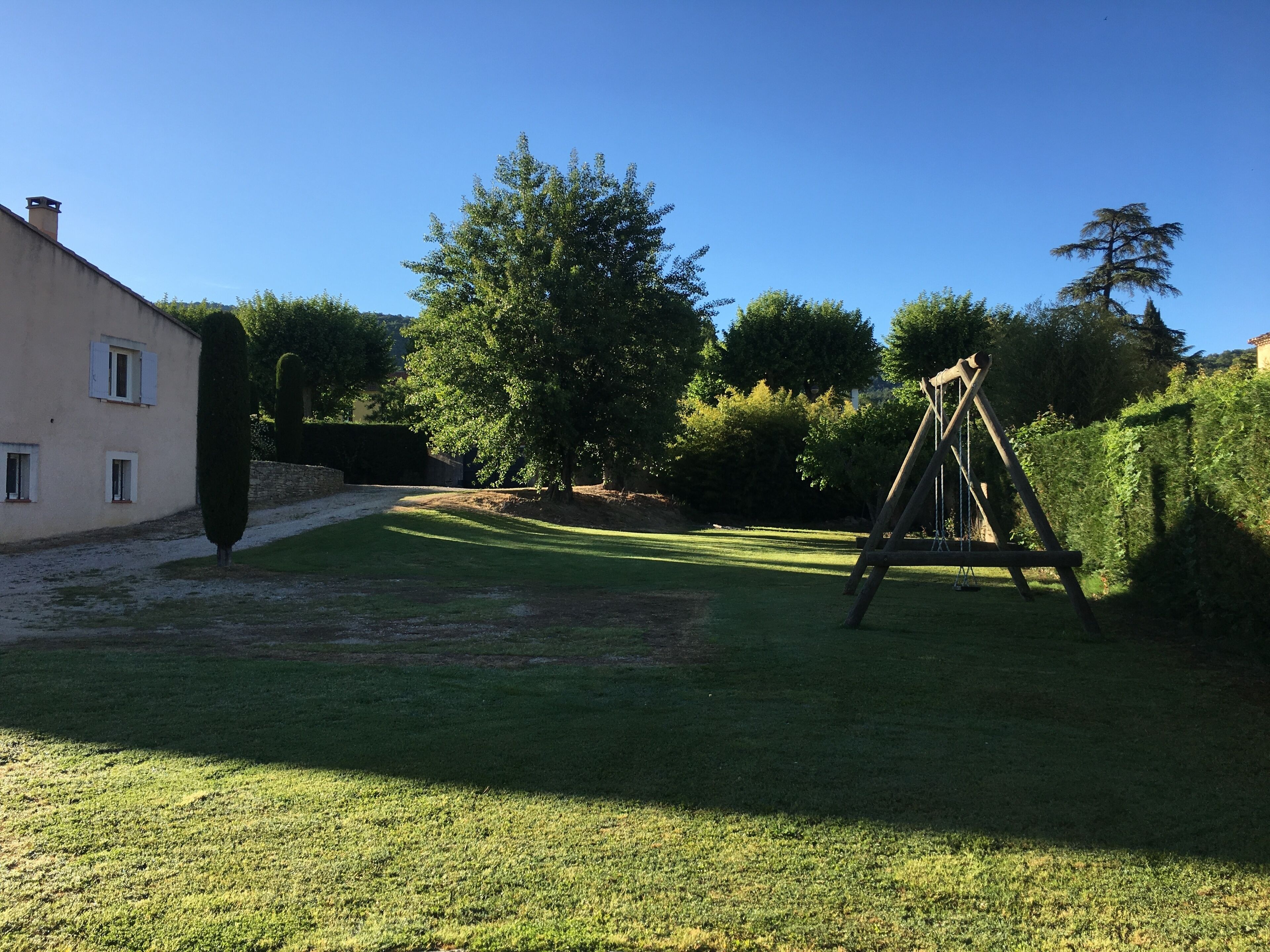 A grassy yard with a swing set, a tall tree, and a building with windows.