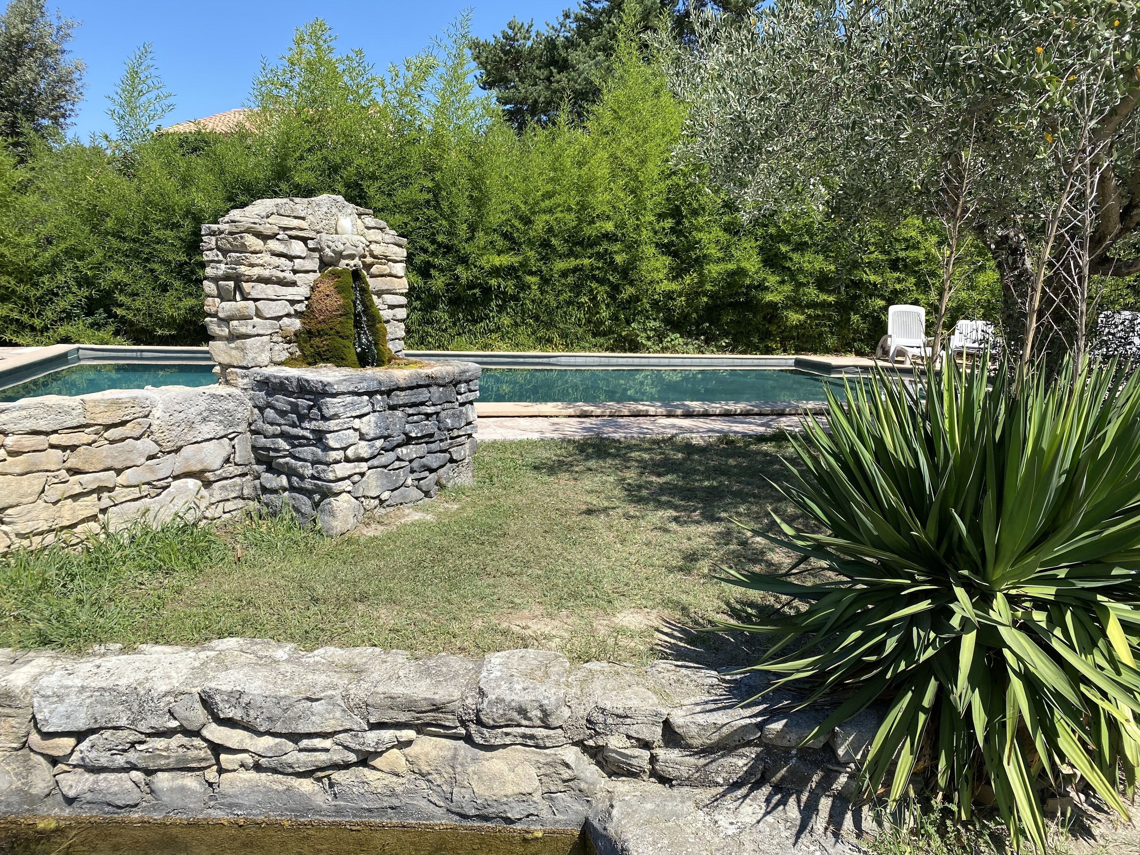 Ein steinerner Pool mit einem Steingewölbe, umgeben von Grünpflanzen und einer großen Agave.