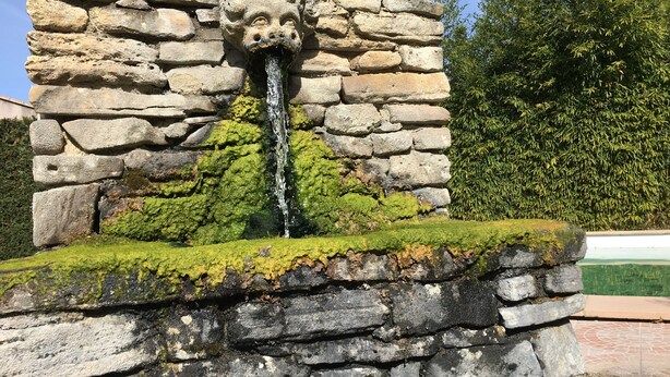 A stone fountain with a lion's head, surrounded by greenery. - House / Villa - Malaucene (Malaucène)