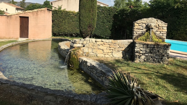 Une piscine aux eaux claires, bordée d’une structure en pierre, et un arbre grand et élancé dans un jardin aménagé.